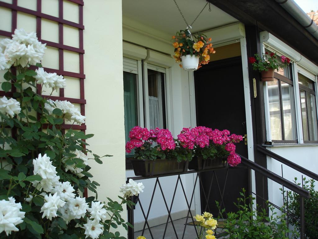 Liza Apartman Gyula Ruang foto