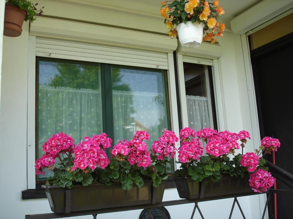 Liza Apartman Gyula Ruang foto