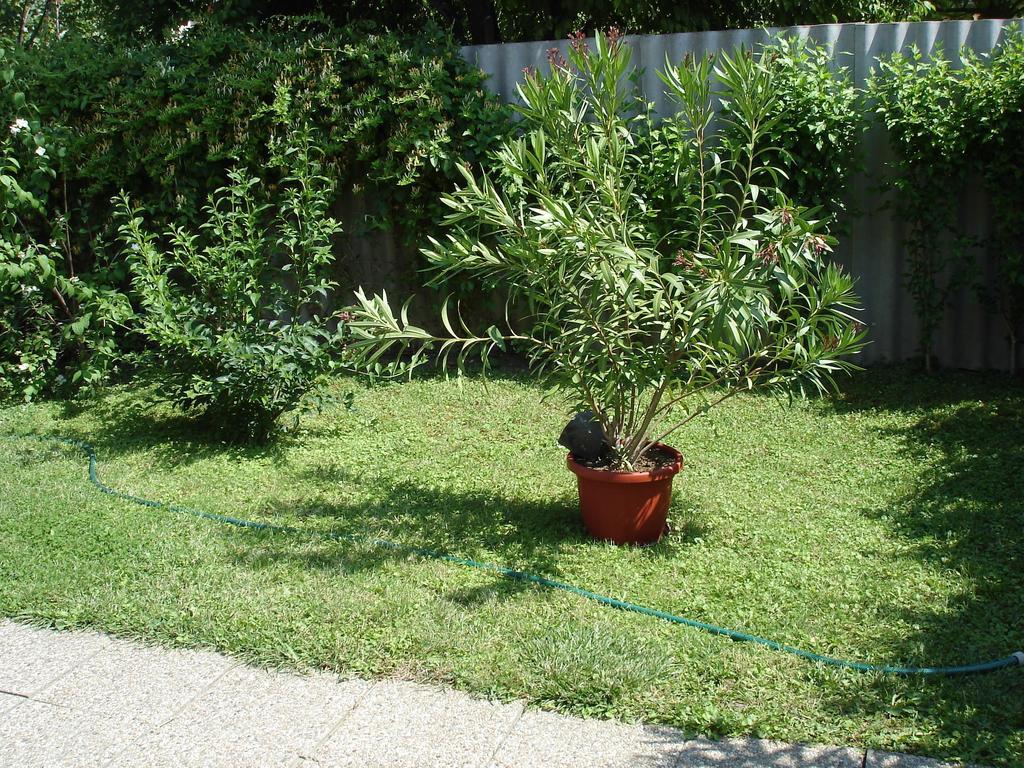 Liza Apartman Gyula Ruang foto
